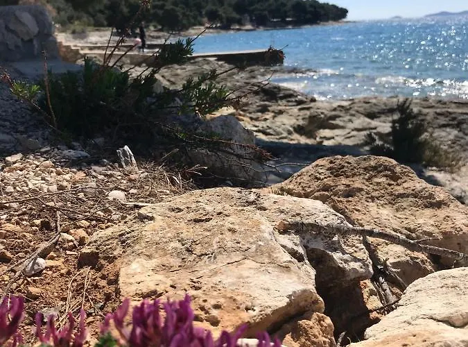 Apartman Mobile Stella